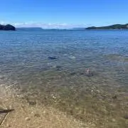 makiの画像