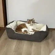 ここの画像