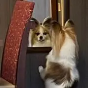 のり