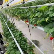 まーさん024の画像