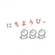 SHIROの画像