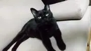 ちゃぴの画像