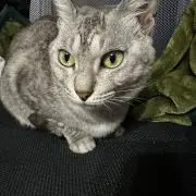 べるの画像