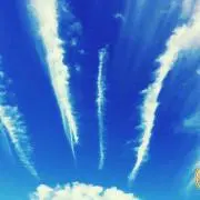 赤戎