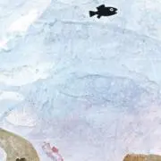 いわしの画像