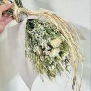 あすかの画像