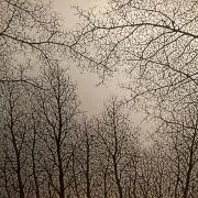 みっちーの画像