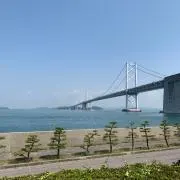 シノの画像