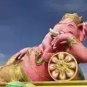 ピンク象の画像
