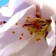 たんたん
