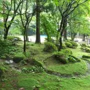 かー