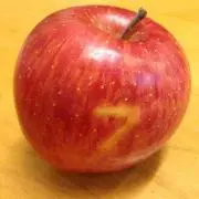 エコマムの画像