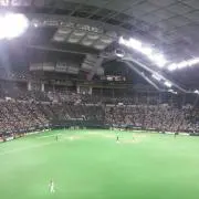 パンダ(^^)