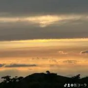 缶コーラの画像