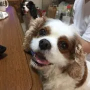 ばばちゃん