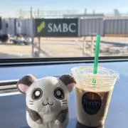 りりの画像