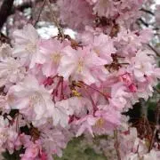 たくまん