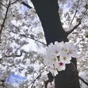 skyry15の画像