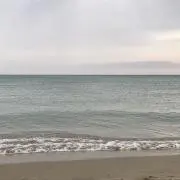 seaの画像
