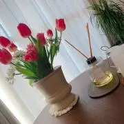 Skyの画像