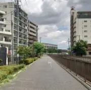 hibikiの画像