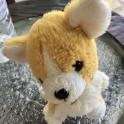 チャイの画像