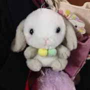 ちょこ