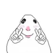 ニャン