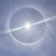 かてうの画像