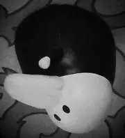 QPの画像