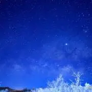 ルーシーの画像