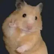キャラメルの画像