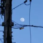 るーくん