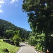 SR81の画像