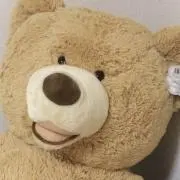 kumaの画像