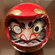ぱぴこの画像