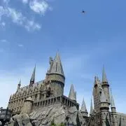 T H Mの画像