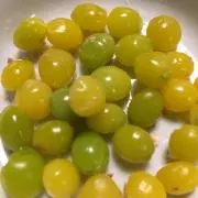 kuraraの画像