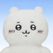 こーんちゃの画像
