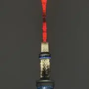 べべのフリーマーケットの画像