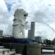 茶々の画像