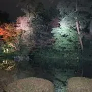 mikiの画像