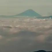 こももの画像