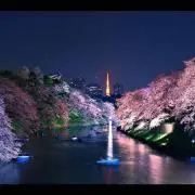 Pリップ 〜セール中〜の画像