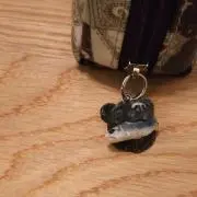 りむの画像