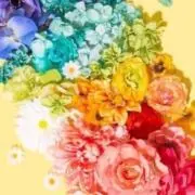 ♡陽♡即購入大歓迎♡の画像