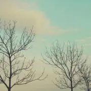 ユミすけ