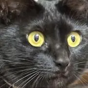 まきたかの画像