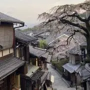 kyomaruの画像