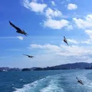 ユッキィの画像